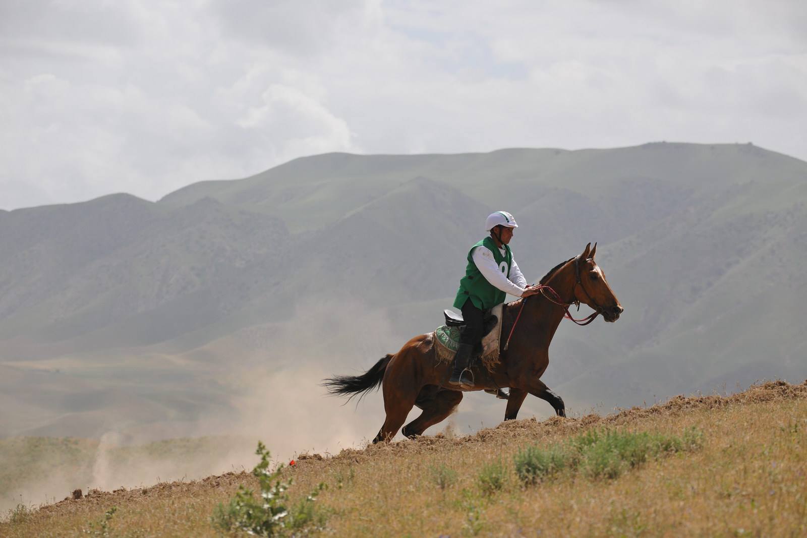 Endurance Riding - Ashgabat, Turkmenistan @Artur Baboev